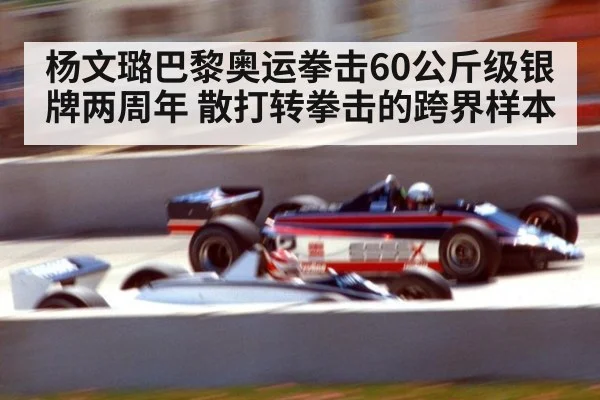 杨文璐巴黎奥运拳击60公斤级银牌两周年 散打转拳击的跨界样本